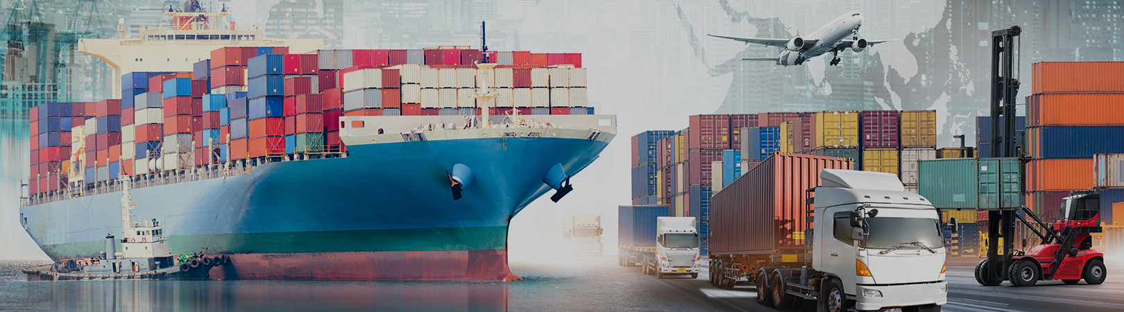 Cosmetics/Health Food/Mail Order Logistics 